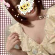 ヒメ日記 2026/04/17 06:46 投稿 サクラ ラブコレクション
