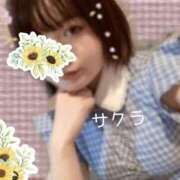 ヒメ日記 2026/04/17 09:01 投稿 サクラ ラブコレクション