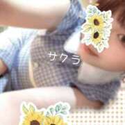 ヒメ日記 2026/04/17 15:01 投稿 サクラ ラブコレクション