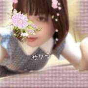ヒメ日記 2026/04/17 19:46 投稿 サクラ ラブコレクション