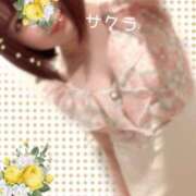 ヒメ日記 2026/04/17 20:16 投稿 サクラ ラブコレクション