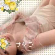 ヒメ日記 2026/04/18 09:31 投稿 サクラ ラブコレクション