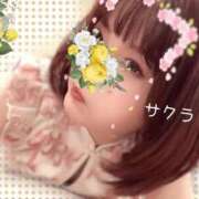 ヒメ日記 2026/04/20 06:01 投稿 サクラ ラブコレクション