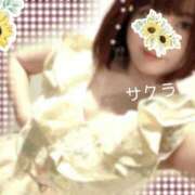 ヒメ日記 2026/04/20 15:16 投稿 サクラ ラブコレクション