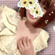 ヒメ日記 2026/04/20 15:31 投稿 サクラ ラブコレクション