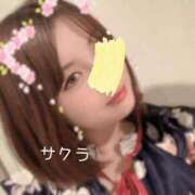 ヒメ日記 2026/04/22 05:46 投稿 サクラ ラブコレクション
