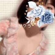 ヒメ日記 2026/04/22 14:46 投稿 サクラ ラブコレクション