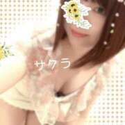 ヒメ日記 2026/04/22 16:01 投稿 サクラ ラブコレクション