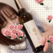 ヒメ日記 2026/04/22 20:16 投稿 サクラ ラブコレクション