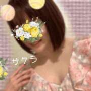 ヒメ日記 2026/04/22 21:01 投稿 サクラ ラブコレクション
