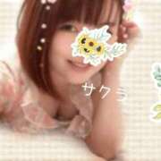 ヒメ日記 2026/04/22 21:16 投稿 サクラ ラブコレクション