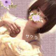 ヒメ日記 2026/04/23 09:31 投稿 サクラ ラブコレクション