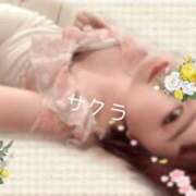 ヒメ日記 2026/04/23 17:01 投稿 サクラ ラブコレクション