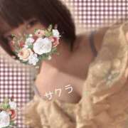 ヒメ日記 2026/04/23 19:01 投稿 サクラ ラブコレクション