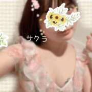 ヒメ日記 2026/04/25 08:46 投稿 サクラ ラブコレクション