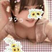 ヒメ日記 2026/04/25 13:31 投稿 サクラ ラブコレクション