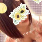 ヒメ日記 2026/04/25 16:46 投稿 サクラ ラブコレクション