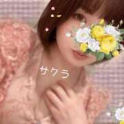 ヒメ日記 2026/04/26 12:31 投稿 サクラ ラブコレクション