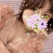 ヒメ日記 2026/04/26 12:46 投稿 サクラ ラブコレクション