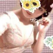 ヒメ日記 2026/04/26 14:16 投稿 サクラ ラブコレクション