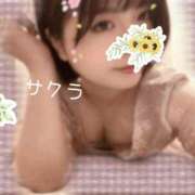 ヒメ日記 2026/04/26 19:16 投稿 サクラ ラブコレクション