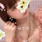 ヒメ日記 2026/04/28 05:31 投稿 サクラ ラブコレクション