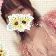 ヒメ日記 2026/04/28 14:16 投稿 サクラ ラブコレクション