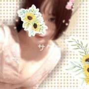 ヒメ日記 2026/05/02 05:31 投稿 サクラ ラブコレクション