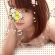 ヒメ日記 2026/05/02 06:01 投稿 サクラ ラブコレクション