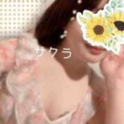 ヒメ日記 2026/05/02 06:16 投稿 サクラ ラブコレクション