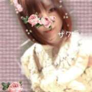 ヒメ日記 2026/05/02 06:31 投稿 サクラ ラブコレクション