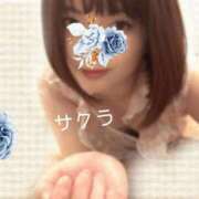 ヒメ日記 2026/05/02 06:46 投稿 サクラ ラブコレクション