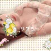 ヒメ日記 2026/05/02 07:16 投稿 サクラ ラブコレクション