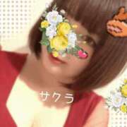 ヒメ日記 2026/05/02 12:46 投稿 サクラ ラブコレクション