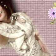 ヒメ日記 2026/05/05 08:31 投稿 サクラ ラブコレクション