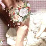 ヒメ日記 2026/05/05 14:16 投稿 サクラ ラブコレクション