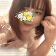ヒメ日記 2026/05/05 16:16 投稿 サクラ ラブコレクション