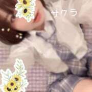 ヒメ日記 2026/05/06 05:46 投稿 サクラ ラブコレクション