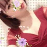 ヒメ日記 2026/05/06 12:31 投稿 サクラ ラブコレクション