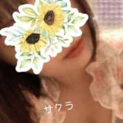 ヒメ日記 2026/05/07 05:46 投稿 サクラ ラブコレクション