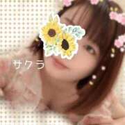 ヒメ日記 2026/05/07 15:46 投稿 サクラ ラブコレクション