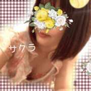 ヒメ日記 2026/05/08 08:46 投稿 サクラ ラブコレクション