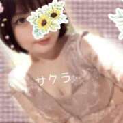ヒメ日記 2026/05/08 11:31 投稿 サクラ ラブコレクション