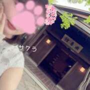 ヒメ日記 2026/06/07 18:46 投稿 サクラ ラブコレクション