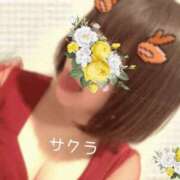 ヒメ日記 2026/06/13 05:46 投稿 サクラ ラブコレクション