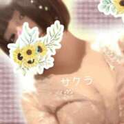 ヒメ日記 2026/06/15 05:46 投稿 サクラ ラブコレクション