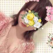 ヒメ日記 2026/06/25 05:46 投稿 サクラ ラブコレクション