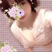 ヒメ日記 2026/06/27 05:46 投稿 サクラ ラブコレクション