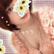 ヒメ日記 2026/07/16 05:46 投稿 サクラ ラブコレクション