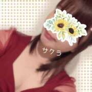 ヒメ日記 2026/07/25 05:46 投稿 サクラ ラブコレクション